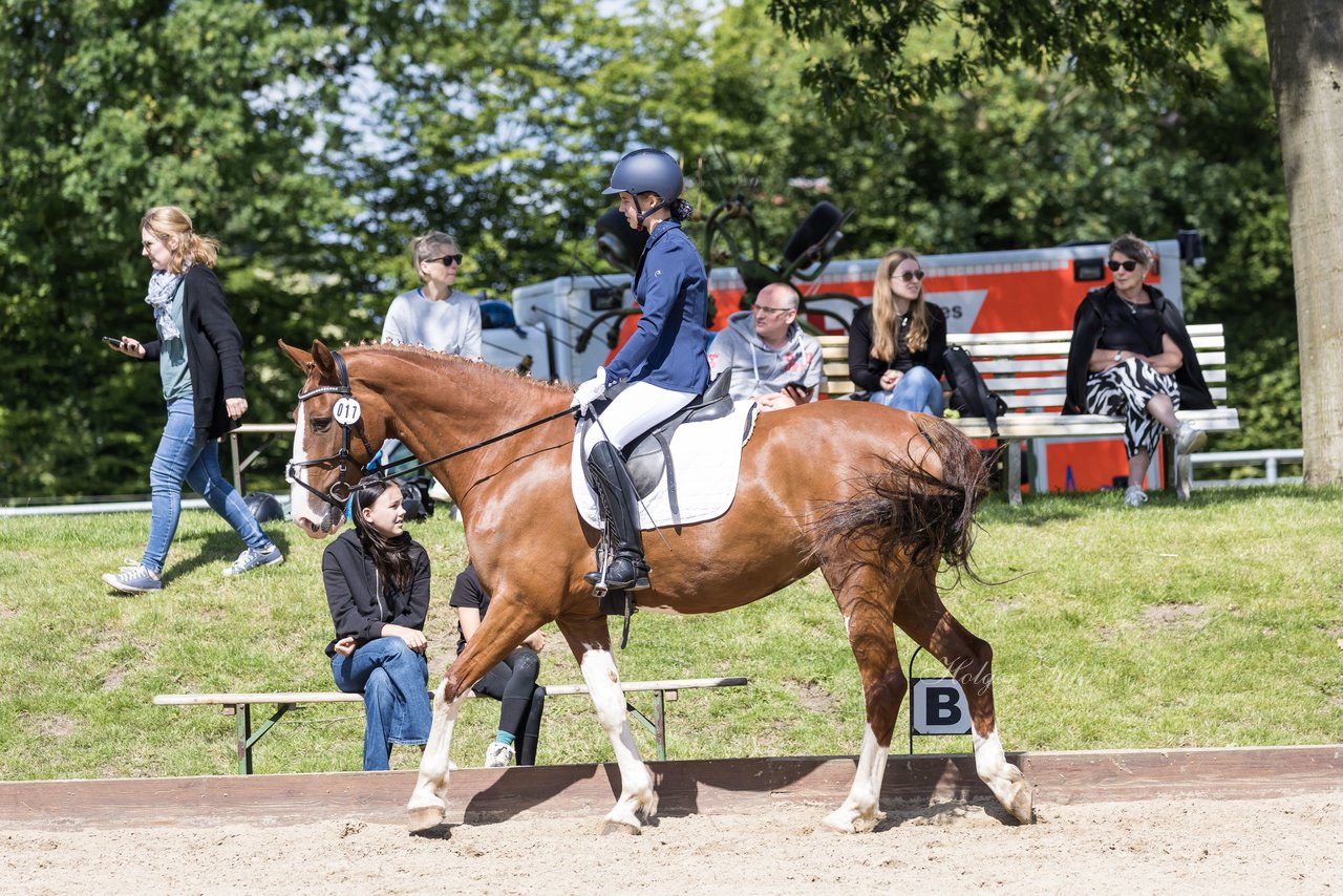 Bild 200 - Pony Akademie Turnier